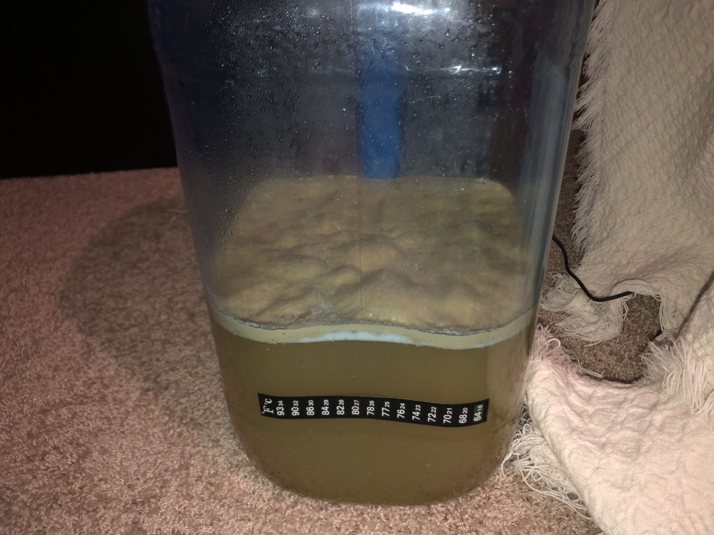 fermentation 24 hours