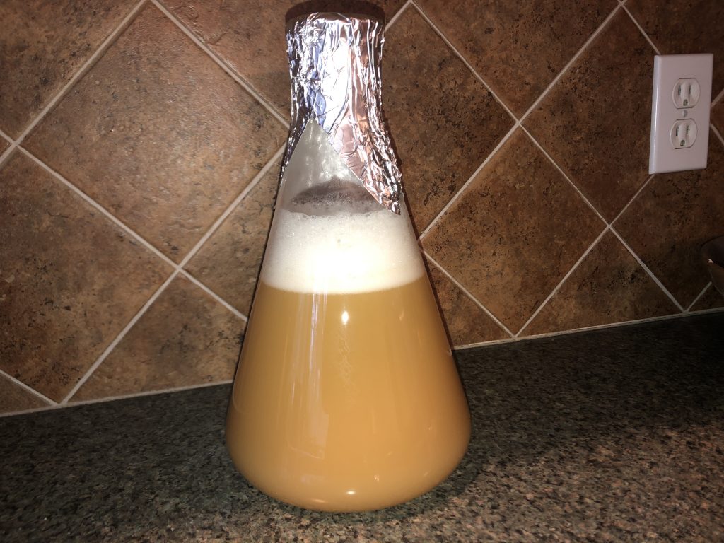 yeast starter fermenting