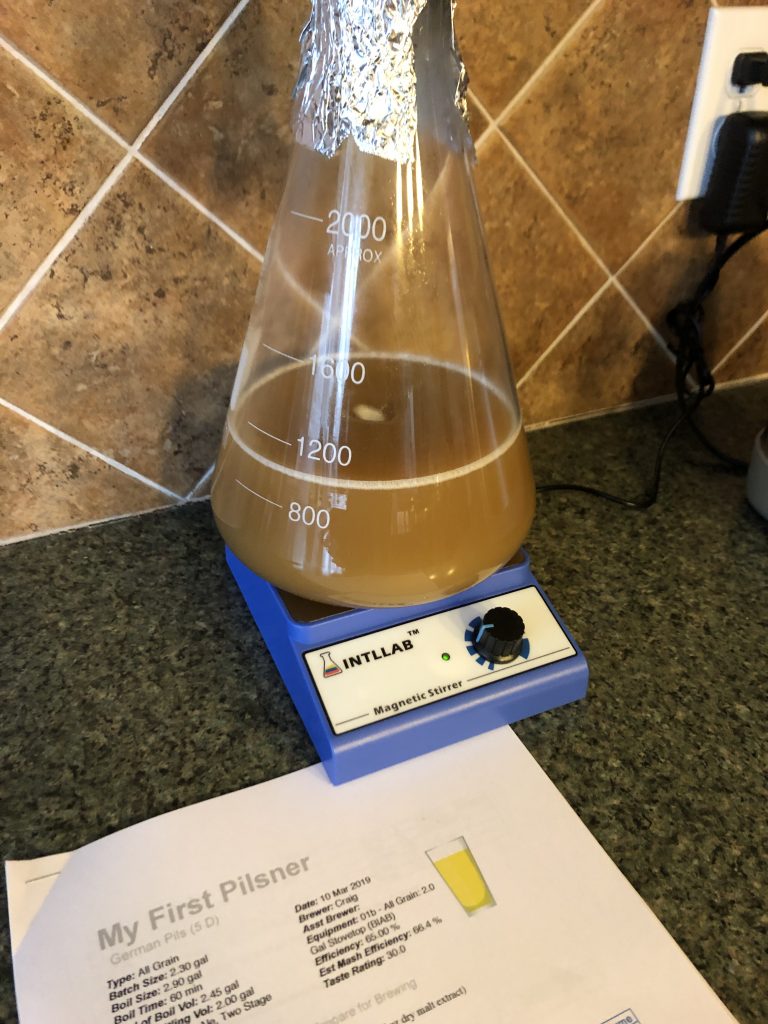 lager yeast starter