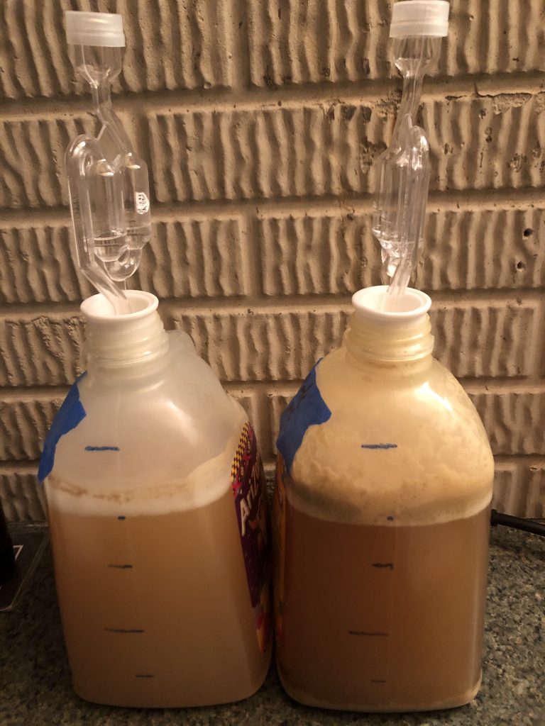 Base Malt Fermentation