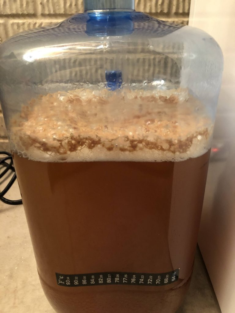 hard cider fermentation