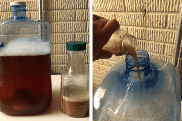 hard cider yeast pitch